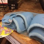 キッズ用のプロテクターセットが再入荷しました！