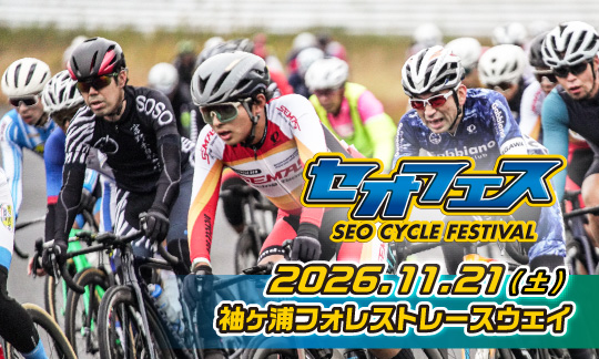 セオフェスサイト